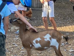 image1271
